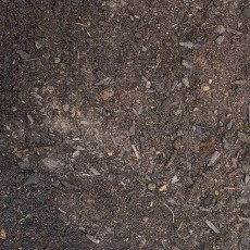 Pine Peat