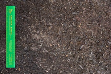 Pine Peat