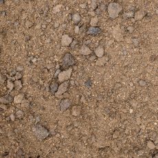 Cow Manure